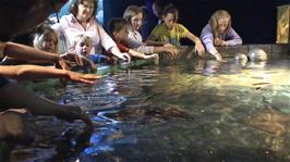 The open tank at the Dingle Oceanworld Aquarium